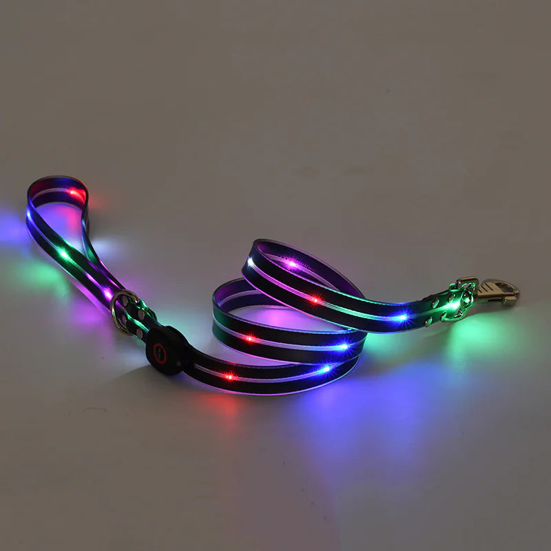 LED Dog Collar Rechargeable