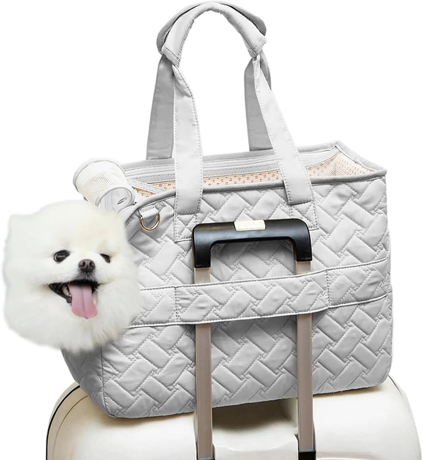 Foldable Pet Travel Carrier Bag