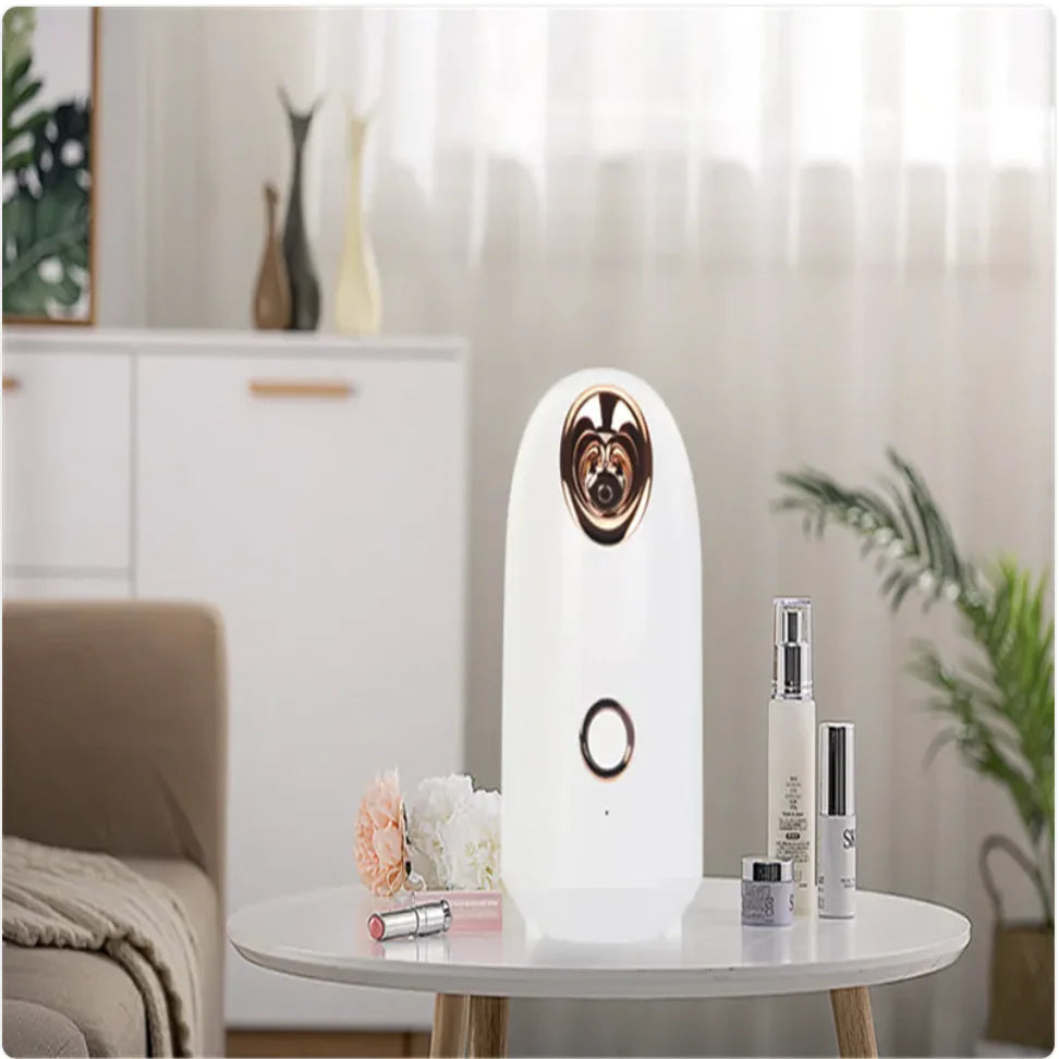 Rechargeable Fabric Steamer