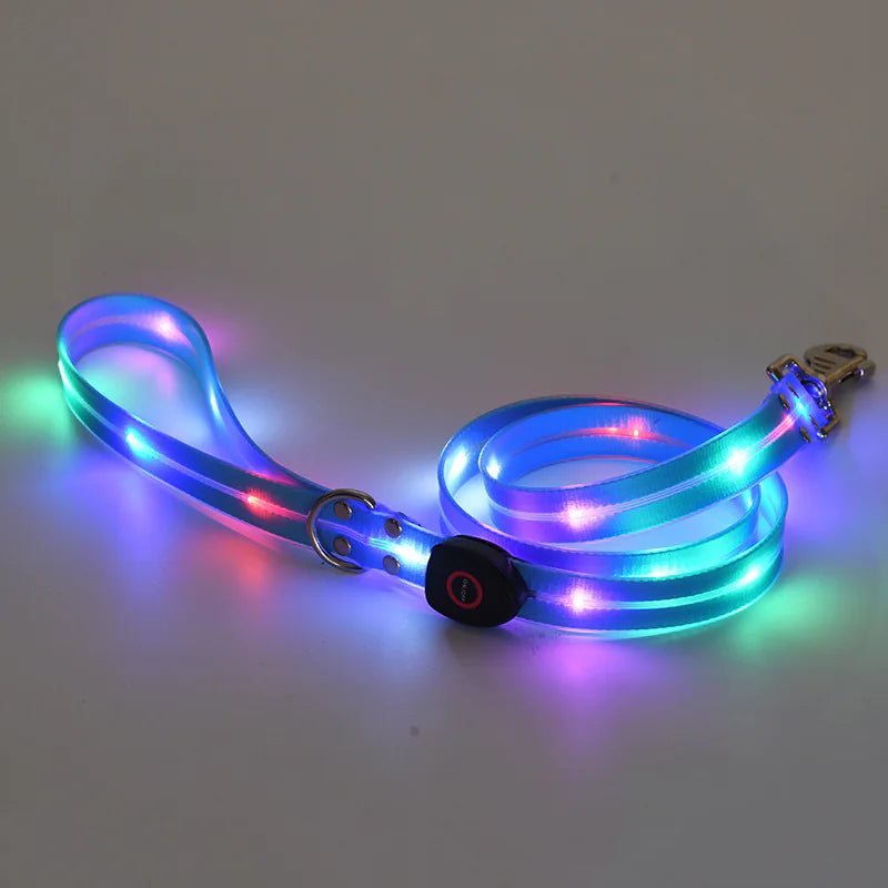 LED Dog Collar Rechargeable