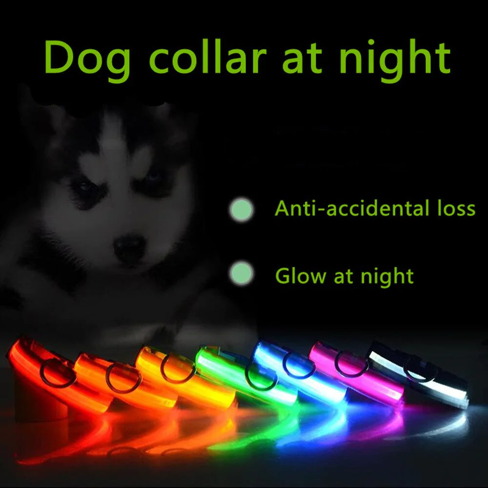 LED Dog Night Safety Collar for Dogs (USB Rechargeable)