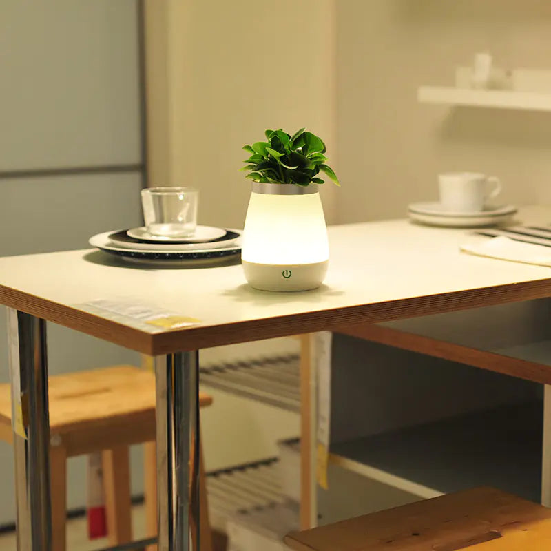 Dormitory Vase Night Light