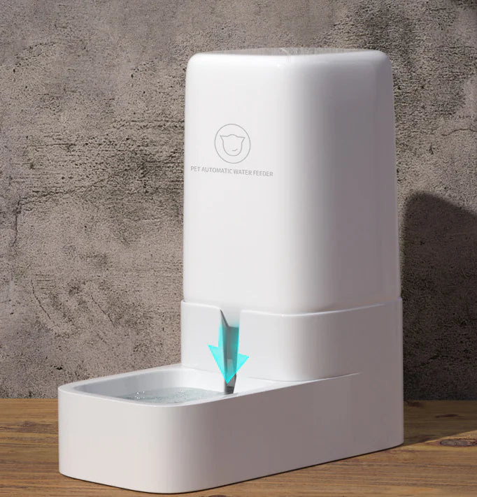 Automatic Pet Food & Water Dispenser