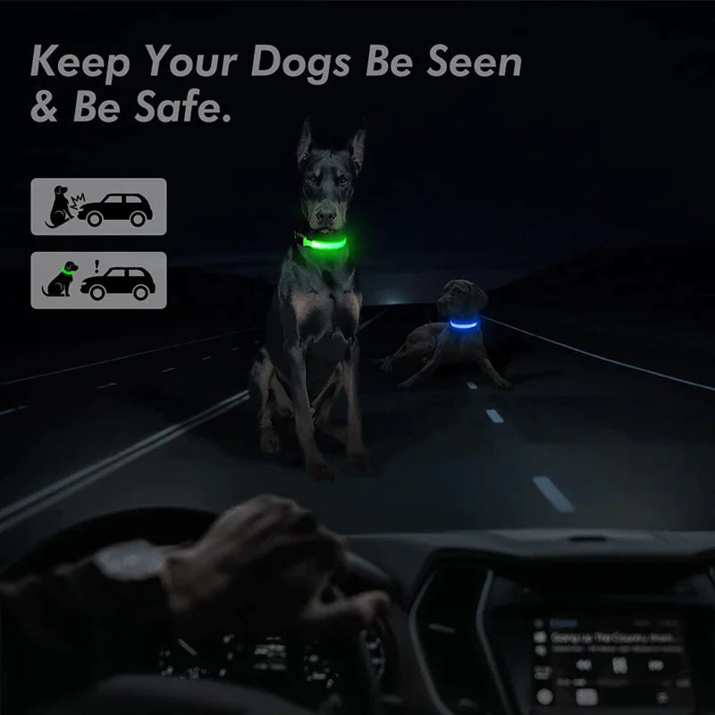 LED Dog Night Safety Collar for Dogs (USB Rechargeable)