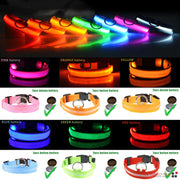 LED Dog Night Safety Collar for Dogs (USB Rechargeable)