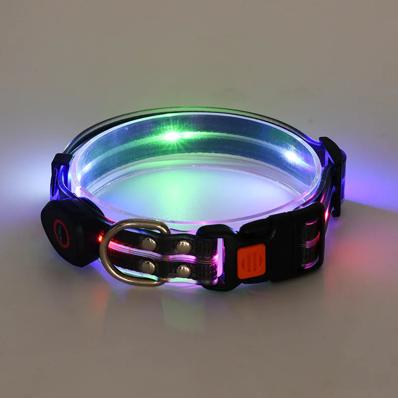 LED Dog Collar Rechargeable