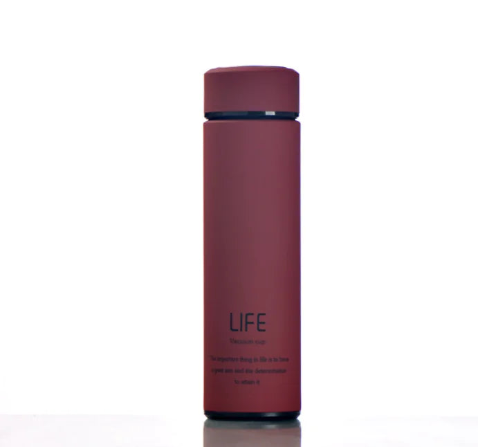 Stainless Steel Insulated Mug for Men and Women