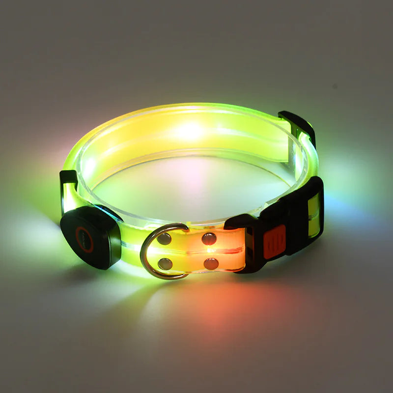 LED Dog Collar Rechargeable