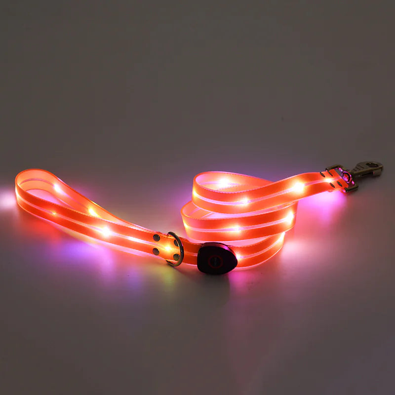 LED Dog Collar Rechargeable