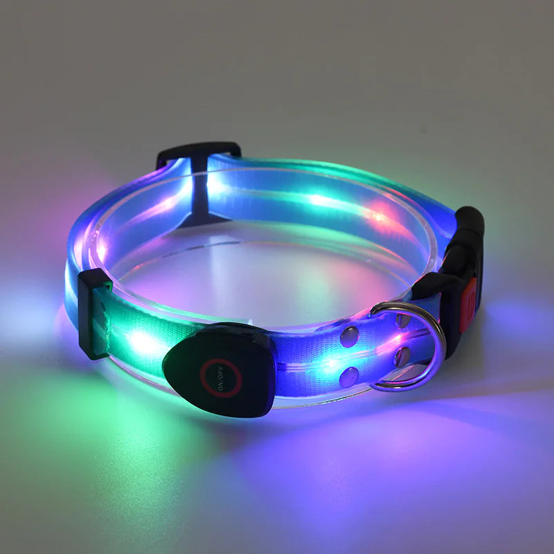 LED Dog Collar Rechargeable