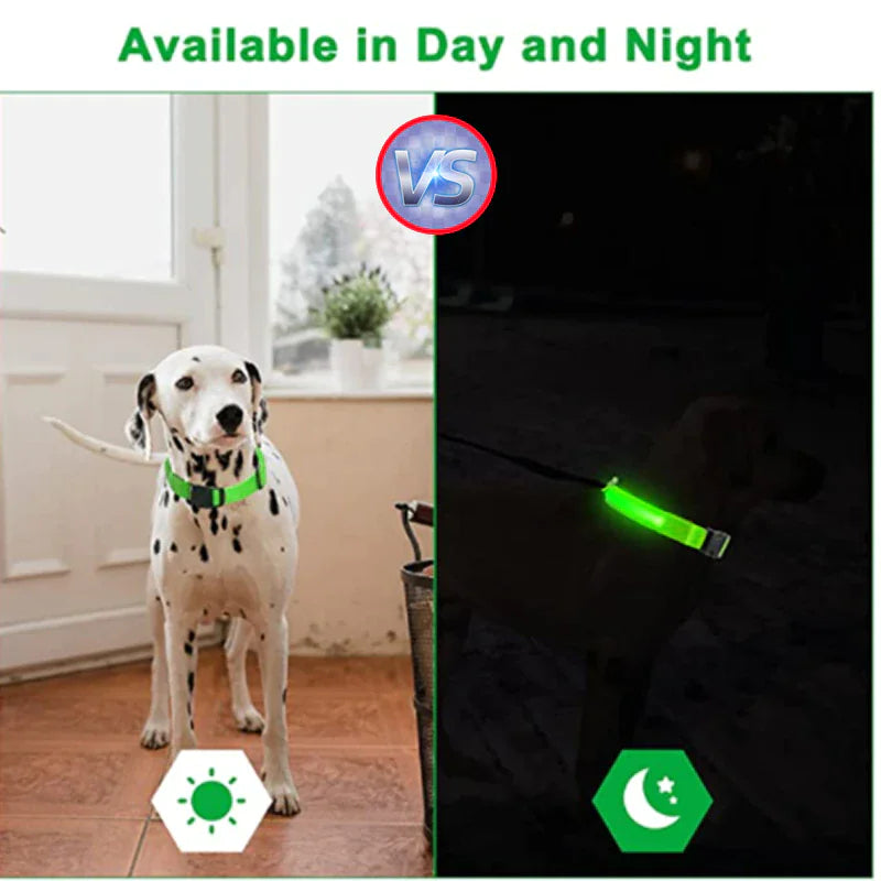 LED Dog Night Safety Collar for Dogs (USB Rechargeable)