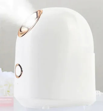 Rechargeable Fabric Steamer