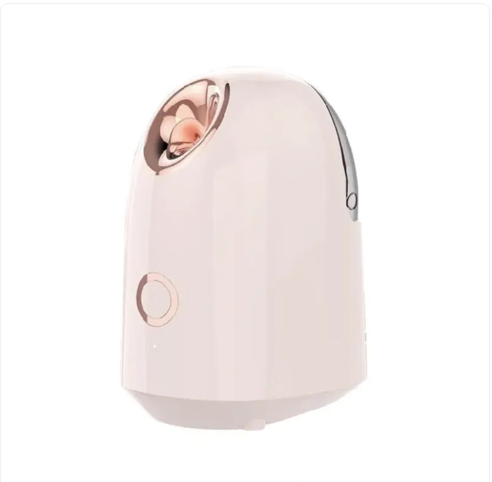 Rechargeable Fabric Steamer