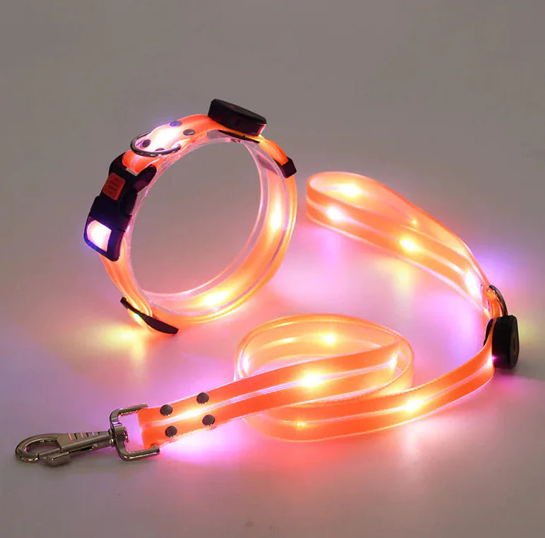 LED Dog Collar Rechargeable