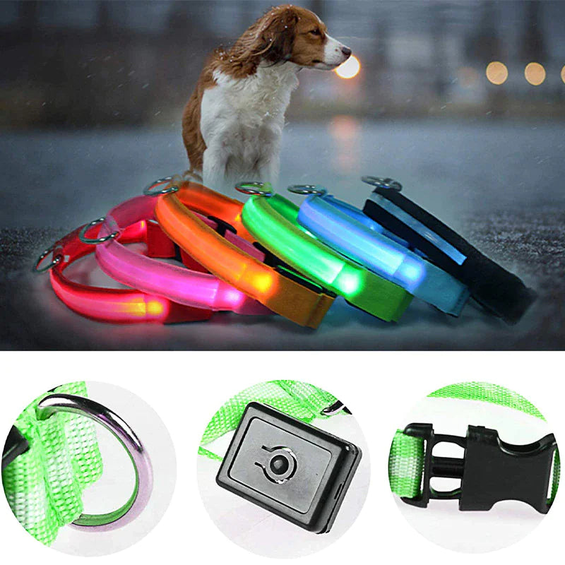 LED Dog Night Safety Collar for Dogs (USB Rechargeable)