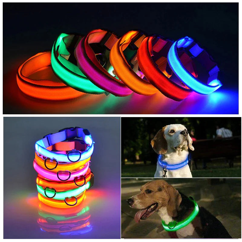 LED Dog Night Safety Collar for Dogs (USB Rechargeable)