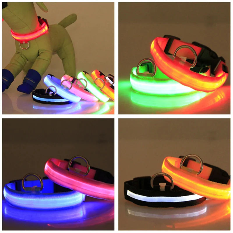 LED Dog Night Safety Collar for Dogs (USB Rechargeable)