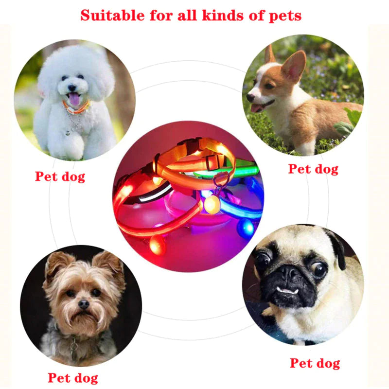 LED Dog Night Safety Collar for Dogs (USB Rechargeable)