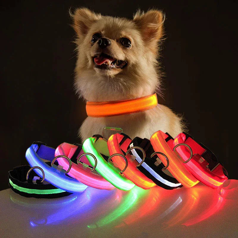LED Dog Night Safety Collar for Dogs (USB Rechargeable)