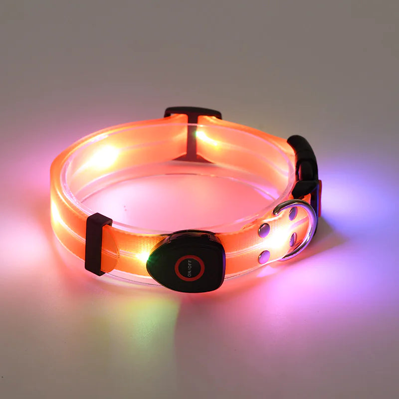 LED Dog Collar Rechargeable